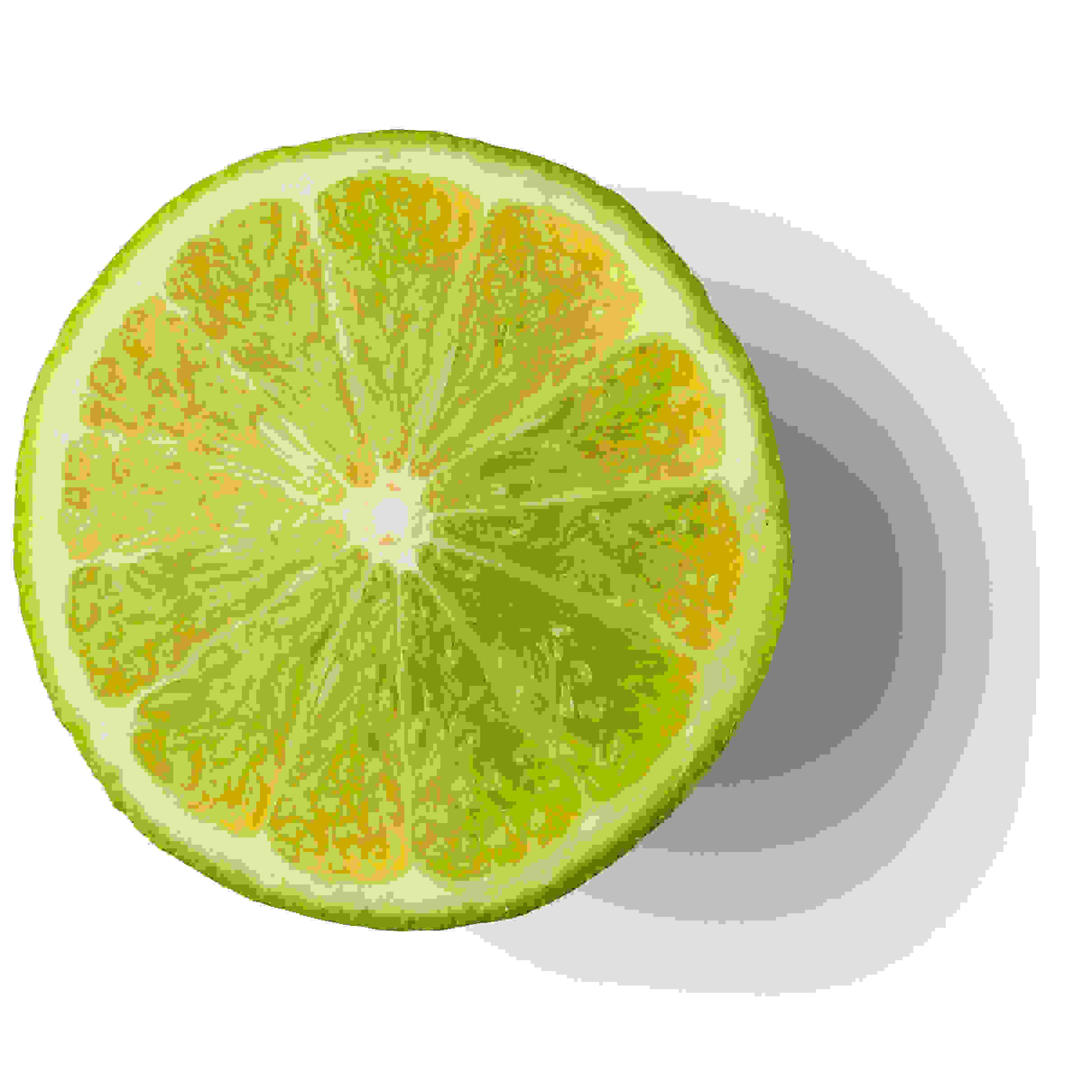 Fresh Lime Extracted in Vodka (Citrus aurantifolia)