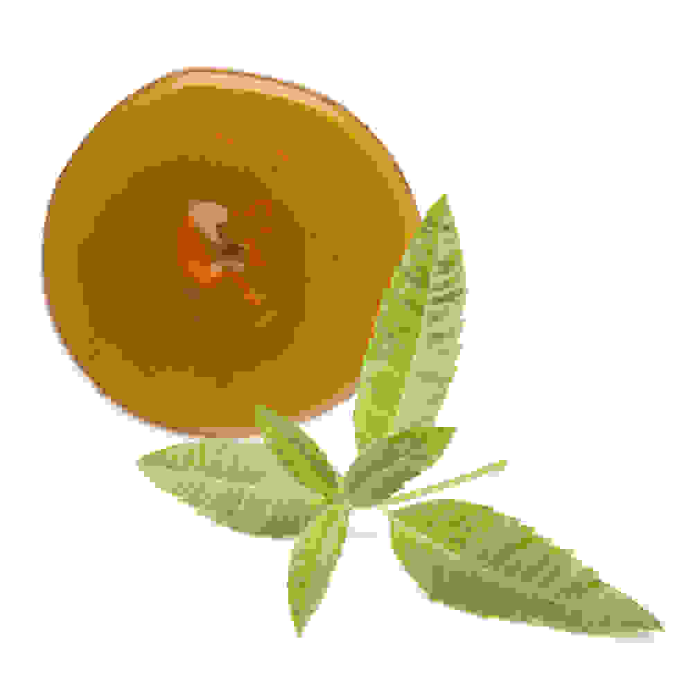 Lemon Verbena And Valerian Root Extracted In Honey