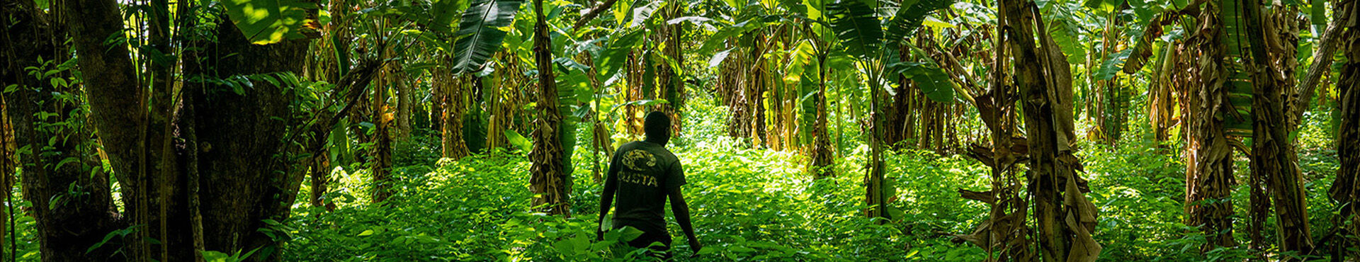Banner - Cultivating Flourishing Ecosystems in Uganda