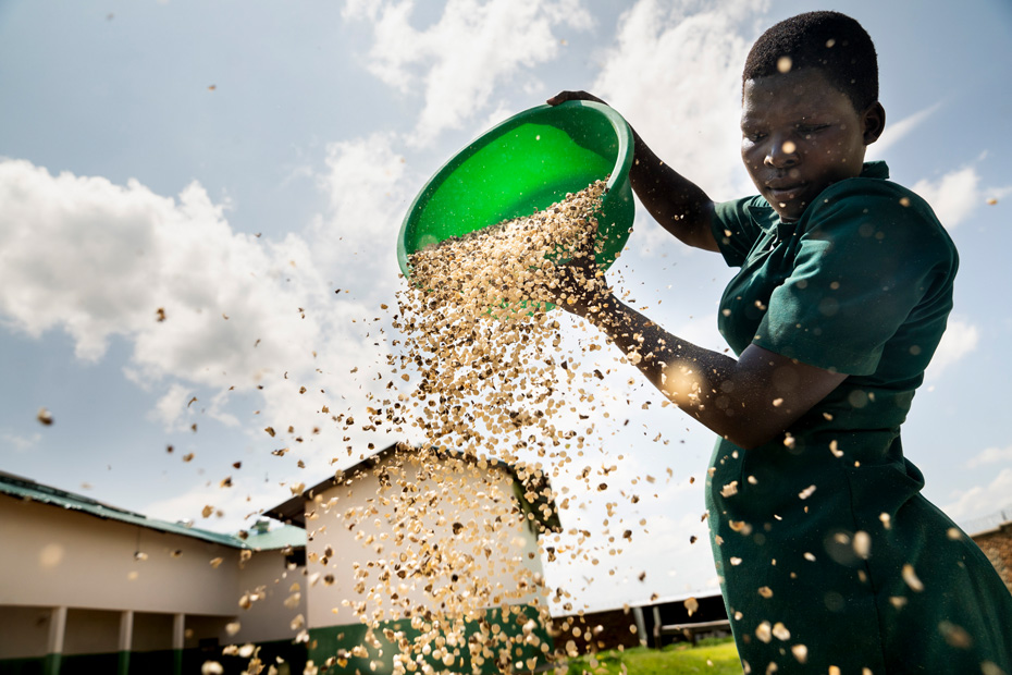 A person stands tall, dropping moringa seeds from a green bowl against a backdrop of a blue cloudy sky.
