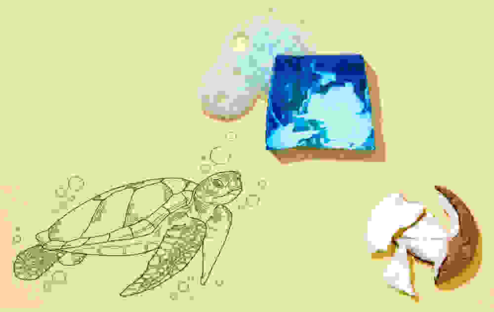Image card - <h2><strong>Fresh skin</strong></h2><h2><strong>and free turtles</strong></h2>